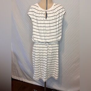 NWT Banana Republic Cotton Dress…Size Petite Medium